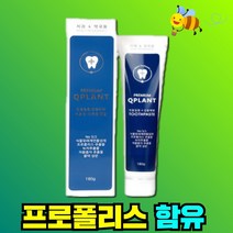 큐플란트 잇몸에 좋은 프로폴리스 잇몸 치약 180g 치과 약국 치주염 치은염 치주질환, 단품