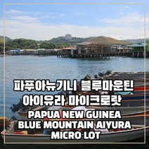 (커피생두) 308 파푸아뉴기니 블루마운틴 아이유라 마이크로랏 1kg, 1개
