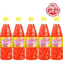 오뚜기 복숭아향 슬러시시럽 1kg X 5개 슬러쉬 원액 음료