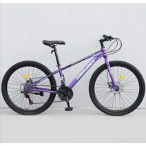 ( MTB 산악자전거 ) 26인치 입문용 크로스컨트리 자전거 21/24단, 24단, 스포크 휠 - 퍼플