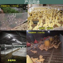 다용도 그물 보호 안전망 화물차 차단망 골프 야구장 갑바 방지 야생동물 적재물 낙석, 그린 2.0m 폭 1.2cm 홀 길이당 가격
