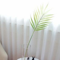 1300K 이너스 조화 롱리프 아레카야자 1P, 단품