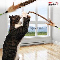 펫모닝 캣스윙 꿩깃털 PMC-350 장난감 천연깃털, 1