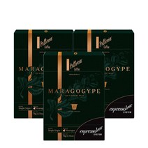 비토리아 에스프레소토리아 마라고지페 커피 캡슐 12개 Vittoria Espressotoria Maragogype Coffee Capsules, 3팩