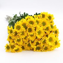 소국 노랑 생화택배 (고속터미널꽃시장 직배송) 꽃예꽃, 비슷한 느낌의 꽃으로 변경(다른꽃or다른색), 금~일요일 구매시 (화요일 도착)