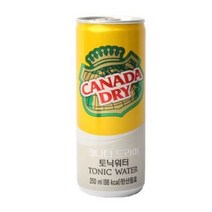 캐나다드라이 토닉워터 250ml 5캔, 2개