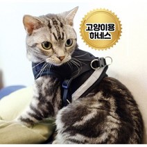 고양이 외출 산책 하네스 리드줄포함 국내제작, 블랙