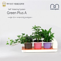 5myshop_맘스품 무동력 자동급수시스템 화분+화초 시리즈_K세트)무 물순환 쿠아리 플라스틱 컬러 미니 인테리어 식믈 그린 공기정화식 청정식 식_5myshop, 이상품선택!!, 무옵션상품임!!