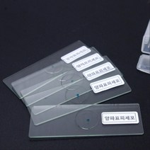 양파표피 프레파라트 세포관찰 실험 표본 5개 학습 식물 조립 자연 초등