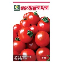 대박 씨앗 10립 - 박씨앗 박씨 바가지 박 야채씨앗 채소씨앗 채소재배 종묘 종자 베란다 텃밭 씨 씨앗 오이 호박 방울토마토 수박 참외, 16_다농_원홍5호 방울토마토(50립)