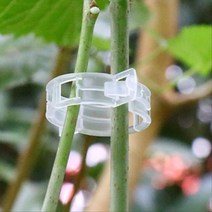식물줄기 플라스틱 고정원형클립 줄기묶기 농작물 원예 묶음끈 와이어 오이 고추 타이