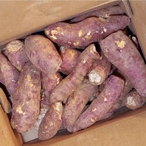 파머스넷 못난이 햇 고구마, 못난이 고구마 10kg 무선별(40g 이상)