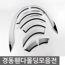 VSY438146자동차 드레스업 NF소나타 휀다몰딩 8pcs 차량용 익스테리어용품