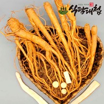 식탐대첩 2-3년재배 국내산 햇 생도라지 2kg, 단품