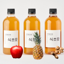 천연발효식초 다이어트발효식초 자연발효식초 식초다이어트 파인애플발효식초 사과발효식초 자연발효 비니거 발효식초 과일식초 천연식초, 생강식초500ml