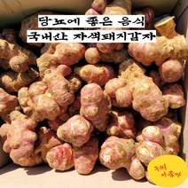 구씨아줌마 국내산 국산 자색돼지감자 햇 돼지감자 생돼지감자 뚱딴지 최상급 3kg 5kg 10kg, 자색돼지감자10kg, 1개