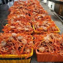 당일조업 당일발송 포항 구룡포 자연산 자숙 홍게 3kg 라면용 일반용 프리미엄, 홍게 육수용 2.5kg~3kg 10미