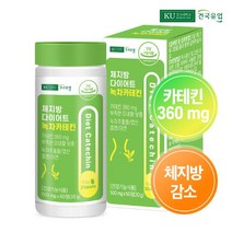 [건국유업] 체지방 다이어트 녹차카테킨 60정x1개(1개월), 단품, 단품
