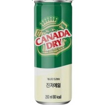 캐나다 드라이 진저에일 250ml 8개