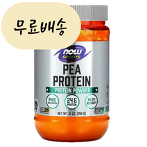 SG솔루션 나우푸드 완두콩 단백질 파우더 피 프로틴 무맛 340g, 1개