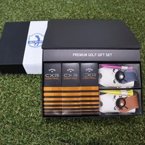 [주문제작]골프공 각인 프리미엄 골프용품 선물세트 부모님 친구 모임 SM-18, 17.문구