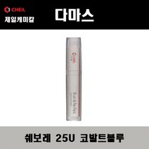 쉐보레 다마스 25U 코발트블루 붓펜 자동차 도색 차량용 카페인트