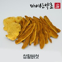 국내산 귀한 참나무 상황버섯 200g 마이산약초, 단품, 단품