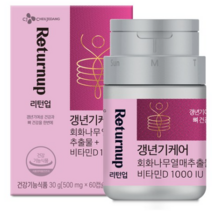 [CJ공식] 리턴업 갱년기케어 회화나무열매추출물+비타민D 3박스, 60정, 3개