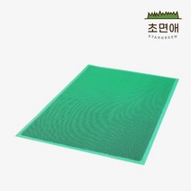 초면애 규격현관매트 업소용 먼지털이 수분제거 Z매트 무지, 그린, 1개