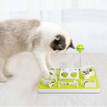 인기 고양이먹이퍼즐알파플랜 추천순위 TOP100 제품 리스트