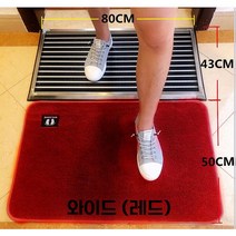 신발 먼지 제거 발판 소독 세척 업소용 입구 바닥 출입구 흙털이 물기제거, G. 레드_와이드