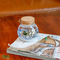 수경식물 반려식물 행운목 마리모 DIY 선물세트, LED항아리_흰자갈(대)+화산석