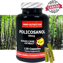 폴리코사놀 추출물 40mg 120캡슐 (4개월) 쿠바 사탕수수 캐나다 직배송