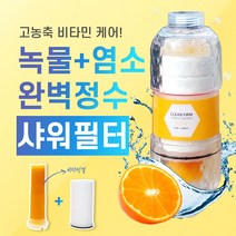 클린펌 허니샤워 비타민 샤워필터, 1개