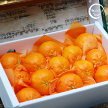 레드향 제주 서귀포 위미 제주선물, 레드향 3kg 선물용 중대과(11~17과 내외)