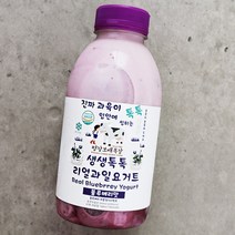 [평창보배목장] 생생톡톡 과일요거트 블루베리 500ml, 단품