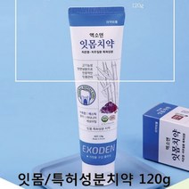 엑소덴 잇몸치약, 120g, 1개