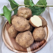 제주 구좌 대지마 햇감자 5kg 10kg 20kg 제주감자, 구좌 대지마 햇감자 10kg 왕특