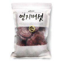 단비농산 국산 영지버섯 (강원도 고성 국산100%) 지퍼백포장, 1개, 500g