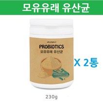 에너데이 장건강유산균 모유유래유산균 분말 가루 프리바이오틱스 프로바이오틱스 장건강 쾌변 프롤린유산균 락토바실러스 가세리 람노서스 불가리쿠스 파우더 프락토올리고당 유산균먹이 유익균증식 유해균억제 체지방감소 국내산, 2통, 230g