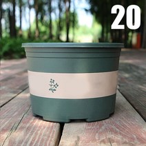 희귀 비싼 다육이 마술 화분 그루트화분 가오갤 콩분 슬릿분 다육이콩분 블루베리 슬릿분큰 라운드 짧은 꽃 냄비 제어 루트 장미 냄비 심기 묘목 농축 플라스틱 또는 트레이, 협력사, 4-20cm