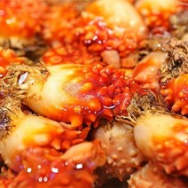 [산지직송] 통영 싱싱한 피멍게 2kg (12-18미내외), 단품