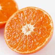 제주 빨간귤 신품종 홍매향 2kg내외 (14-22과/실중량), 1개