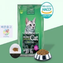 사료 캣 7.5kg 고양이 아기 프로베스트 건식 키튼, 상세페이지 참조, 상세페이지 참조, 상세페이지 참조