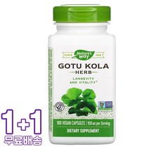 네이처스웨이 고투 콜라 허브 475ml 비건 180캡슐 2통, 1개, 기본