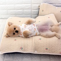 강아지옷 국내산 오가닉 실내복 잠옷 노령견옷, 1.과일목장