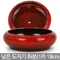 중형 도자기 다육 화분 1P - 다육이화분 식물 선인장 수생 수경 도자기 유약 광택 거실화분 미니화분 사무실화분 책상화분 예쁜화분, 02_Sein_낮은유약분_레드(구멍O)