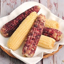 푸르젠 김동식님의 삶은 냉동 흑찰옥수수 12개입(3개씩 포장), 단품없음