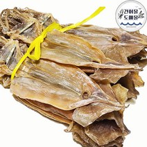 속초 건조 쫄쫄이 마른오징어 (원양산) 20미 한축 선물용 당일발송 마른오징어도매 안주 간식 중부시장 건어물도매몰, 1.5kg 내외(쫄쫄이)