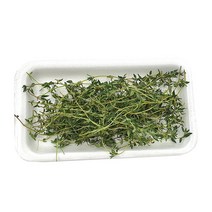 야채왕 타임 1팩 허브 생잎